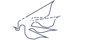FOUR WINGS INC